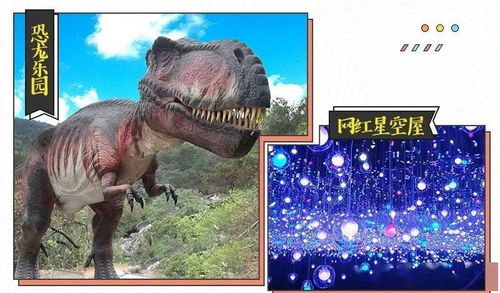 在游戏里开个动物园攻略 VS 抖音广告游戏升星攻略