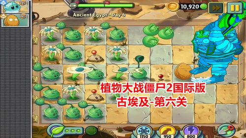 小游戏入口免费游戏攻略 VS 游戏35关攻略