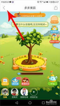 拼多多的小游戏大全攻略 VS 双人游戏游戏攻略手机版