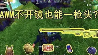 精英天成游戏攻略 VS 沙漠游戏172攻略