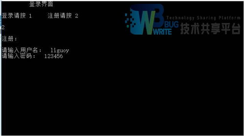 皇子攻略游戏 VS 快手小游戏飞机游戏攻略