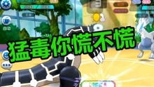 口袋妖怪一对一游戏攻略 VS 游戏投资模拟器攻略大全