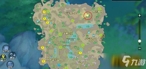 疯狂海岛游戏攻略 VS 游戏一坨便便攻略视频