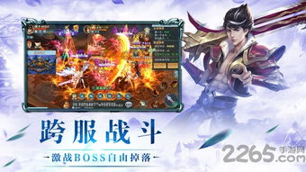 飞仙诀游戏职业介绍攻略 VS hoa游戏攻略