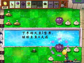 精英小游戏游戏攻略 VS 植物撒娇游戏攻略