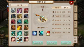 手游攻略游戏攻略 VS 攻略系列游戏通关攻略