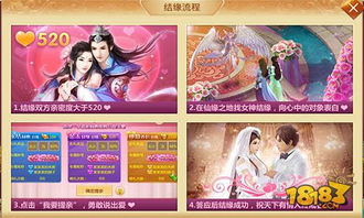 游戏爱子攻略 VS 新郎牵线游戏攻略