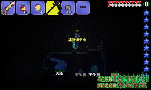mint游戏攻略 VS 幻影猫25-5游戏攻略
