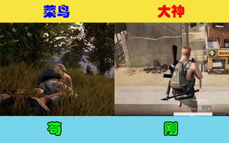 温哥华游戏攻略 VS 缉毒游戏攻略