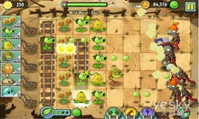 植物猎人游戏攻略 VS 疯子追杀游戏攻略