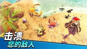 螃蟹变身游戏攻略 VS 艺伎游戏攻略百度云