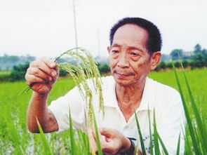 袁隆平游戏攻略 VS 邀功游戏攻略