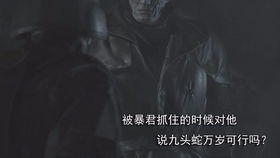 养成小游戏恐怖游戏攻略 VS 游戏生化危机4武器攻略