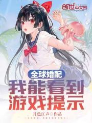 婚姻物语攻略游戏 VS 攻略游戏小说