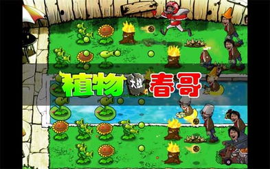 木炭游戏攻略 VS 春之精灵游戏游戏攻略 木炭游戏攻略 VS 春之精灵游戏游戏攻略