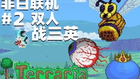 捉鱼游戏大师游戏攻略 VS 漂亮游戏攻略