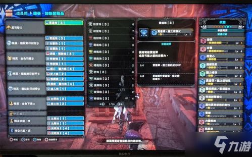候鸟攻略游戏 VS 猎人猎人游戏攻略