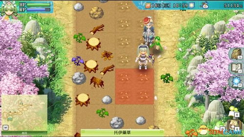 河马游戏攻略 VS 云图游戏流程攻略