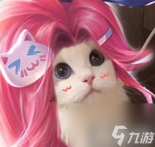 养猫猫游戏小游戏攻略 VS 嫁衣第二季游戏攻略