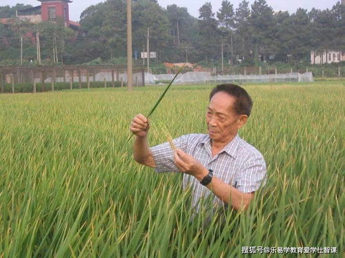 宣城游戏攻略 VS 袁隆平游戏攻略