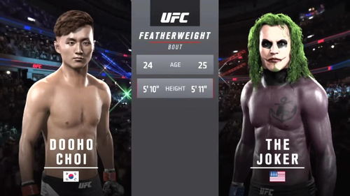 纸牌攻略游戏 VS ufc游戏攻略