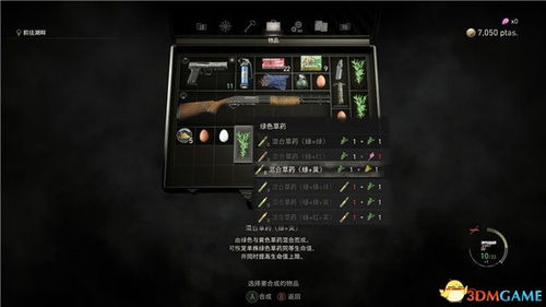 生化武器重制版游戏攻略 VS 游戏攻略115